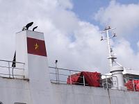 l1001954.jpg